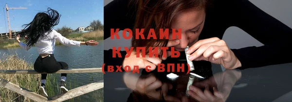 сатива Краснослободск