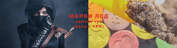сатива Краснослободск