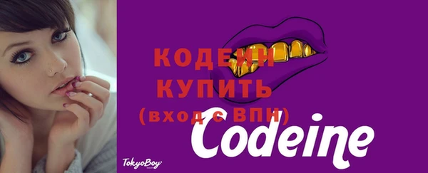 сатива Краснослободск