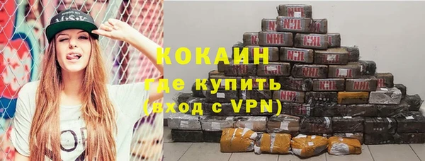 сатива Краснослободск