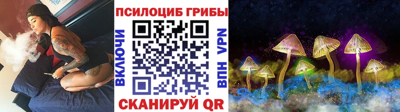 kraken онион  наркошоп  Себеж  Псилоцибиновые грибы Psilocybe 